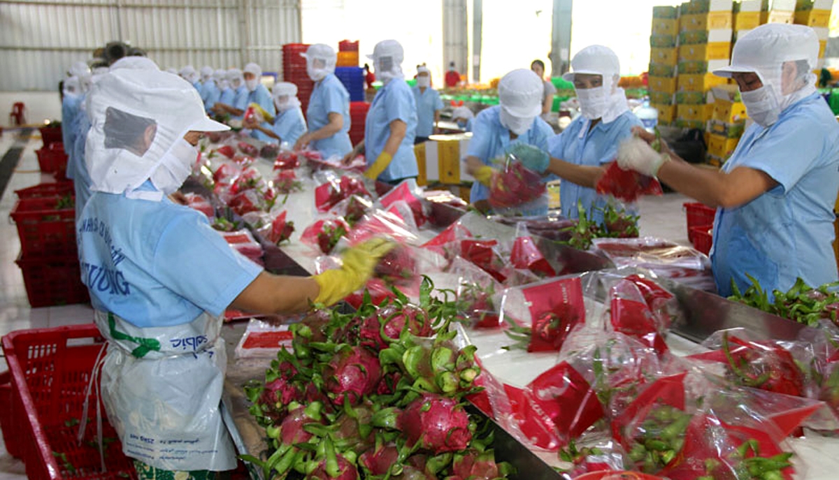 Vietnam enjoys USD4 8bln in trade surplus with UK